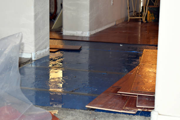 Professional Emergency Water Damage Restoration technician working in Brentwood, MO